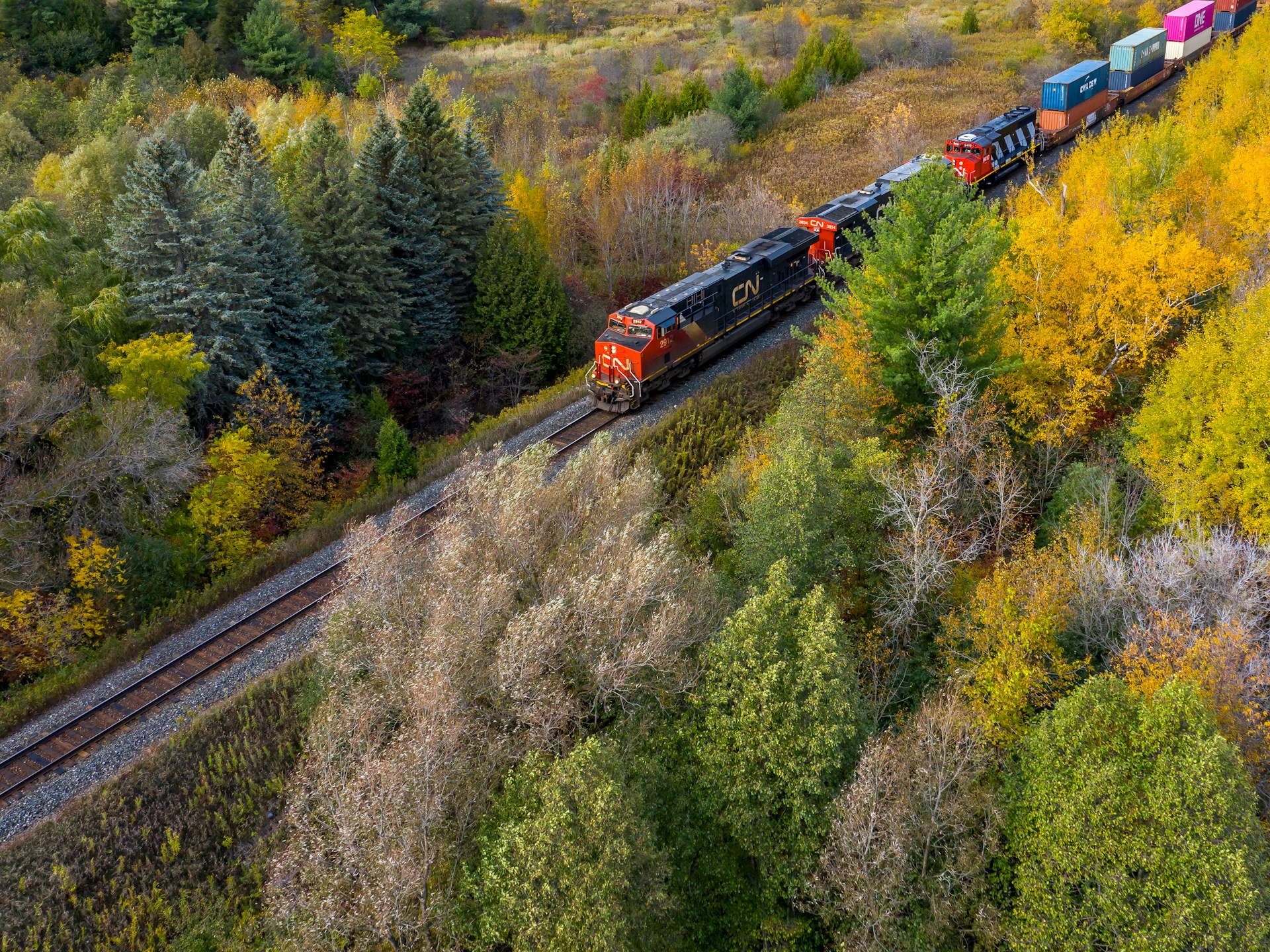 Labour Board orders rail company employees back to work